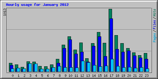 Hourly usage for January 2012